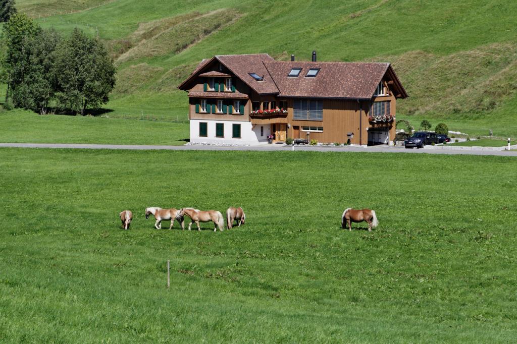 فيلا Eggفي Haflingerhof Fruhboden المظهر الخارجي الصورة